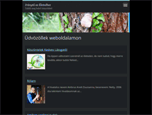 Tablet Screenshot of eletiranytu.com